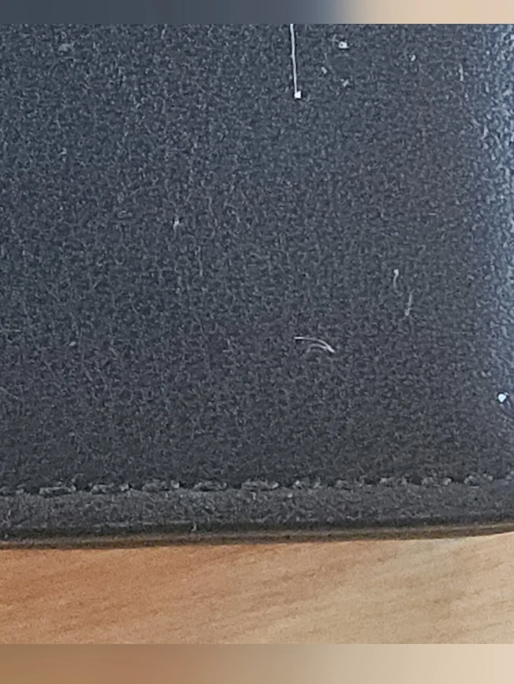 Coach Dreamer Card Case